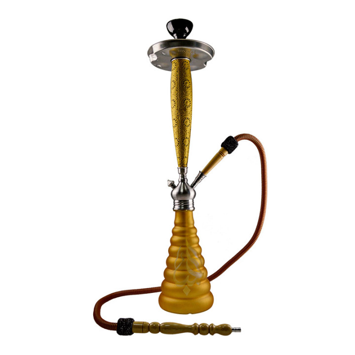 Aladin Roy 31 vandpibe