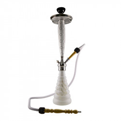 Aladin Roy 31 vandpibe