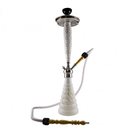 Aladin Roy 31 vandpibe