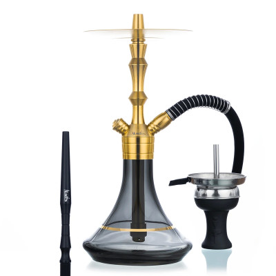 Aladin MVP 360 Édition dorée Chicha
