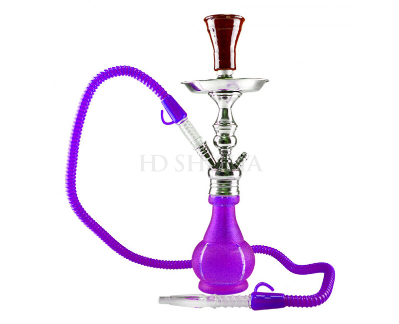 Aladin Roy 1 vandpibe