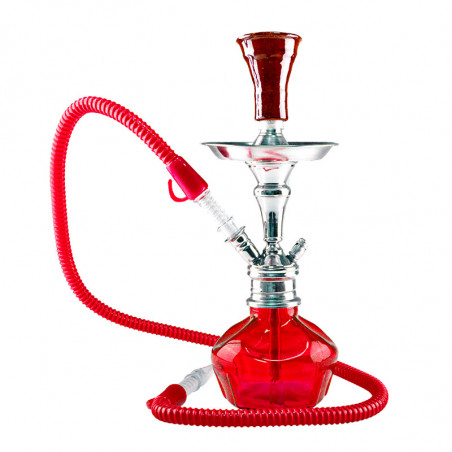 Aladin Roy 2 vandpibe