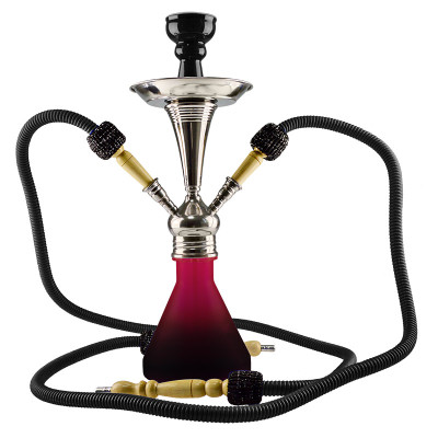 Aladin Roy 8 black hookah with 2 hoses