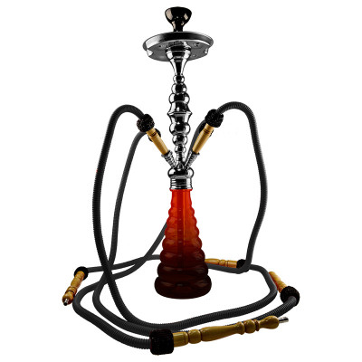 Aladin Roy 34 schwarze Wasserpfeife mit 4 Schläuchen