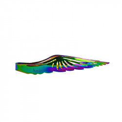 Aladin Wing tang regnbue